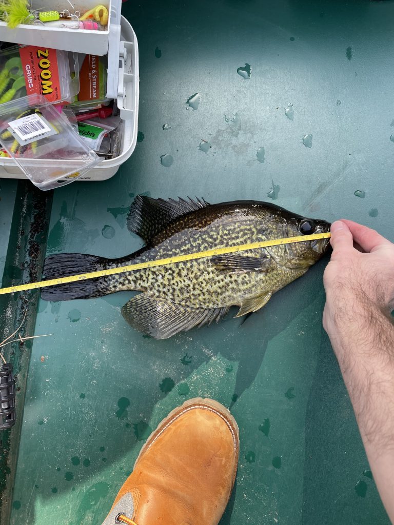 How to use a Rapala lure