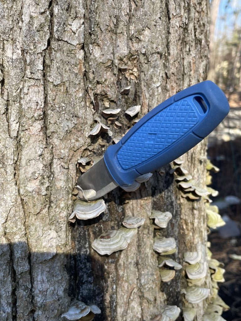 Mora Eldris Review