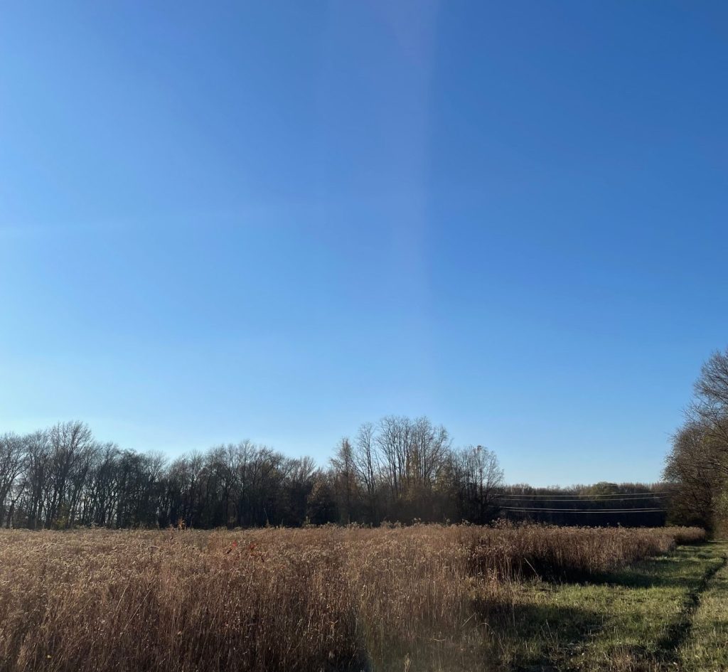 Hunting Pheasant Without a Dog