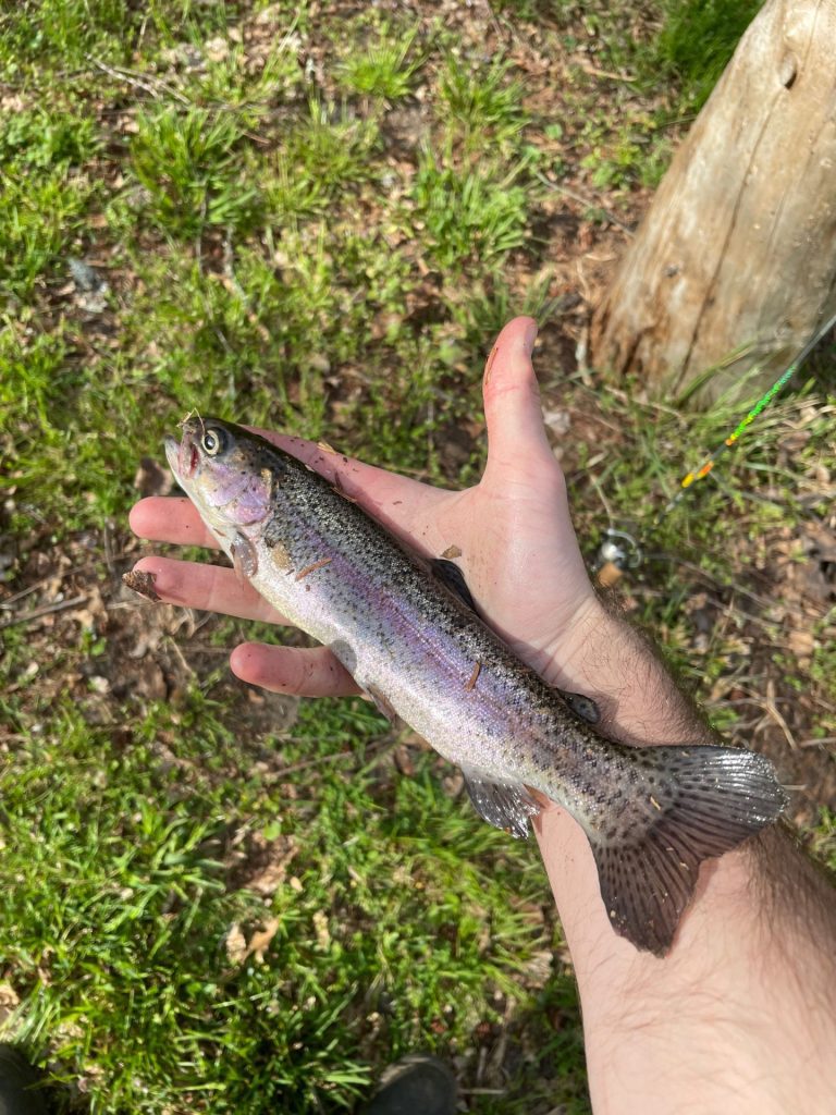 Spring Trout Fishing Tips
