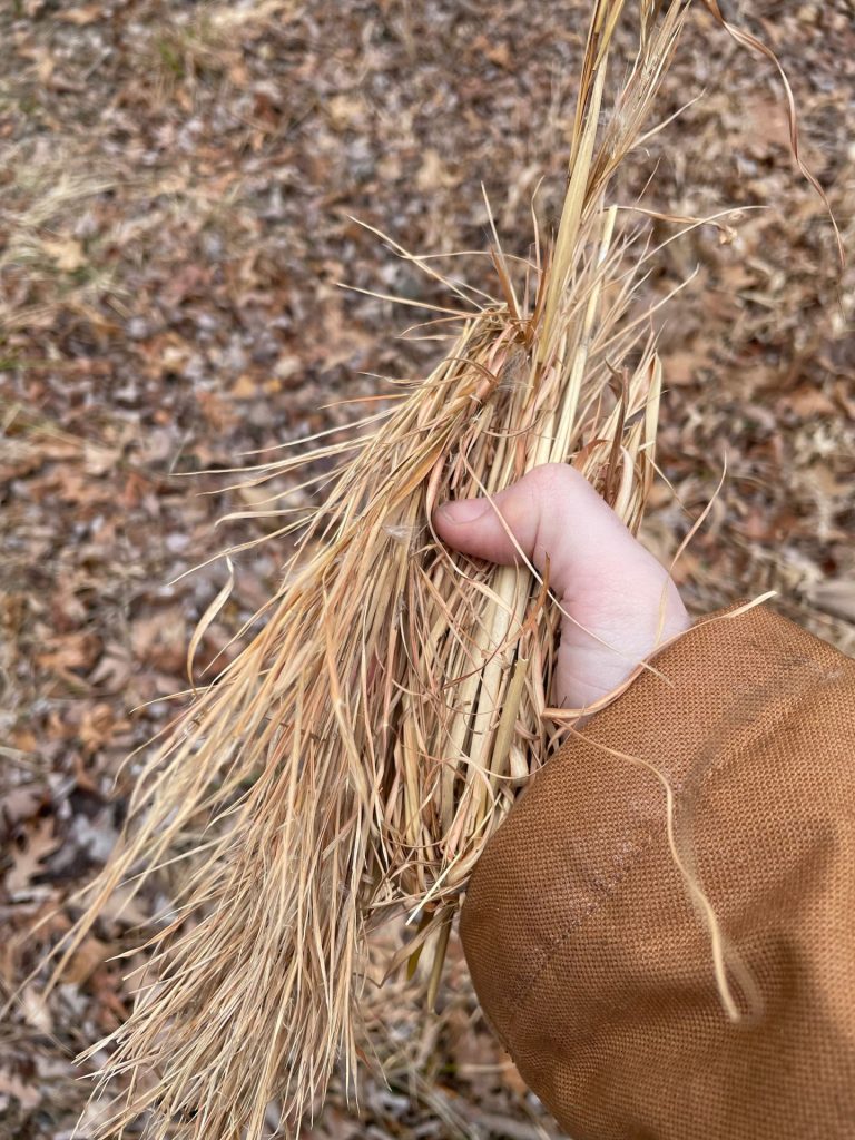 Standing Dry Grass As Tinder