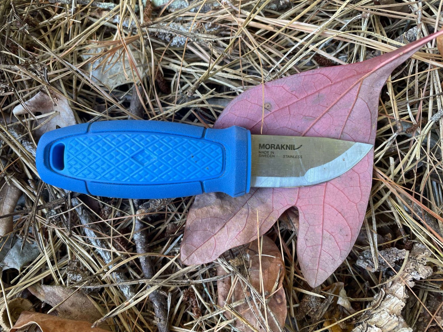 Knife Blade Profiles: The Definitive Guide - Eclectic Outfitter