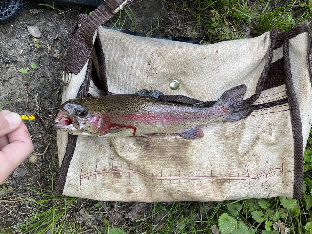 Trout Spinners