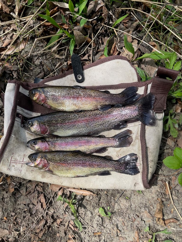 Trout Fishing Lures