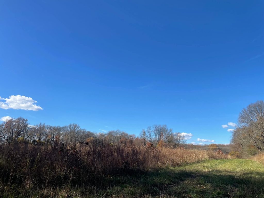 Miss Fewer Birds When Hunting