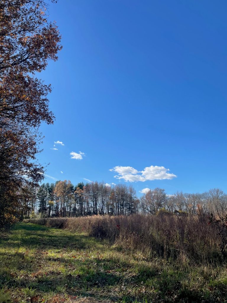 Miss Fewer Birds When Shooting