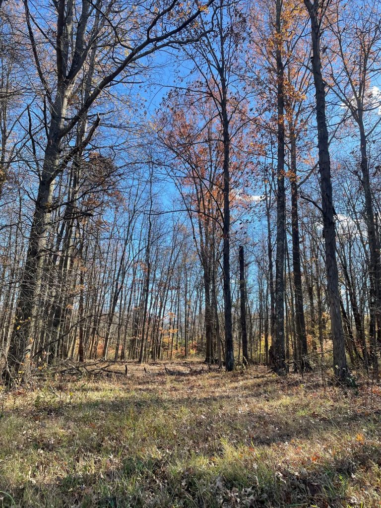 Miss Fewer Birds When Hunting