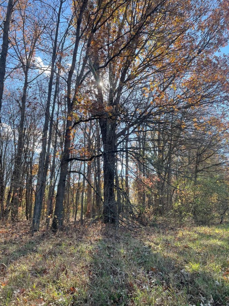 Miss Fewer Birds When Hunting