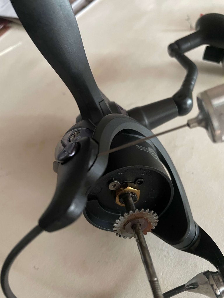 How to oil a surf reel.