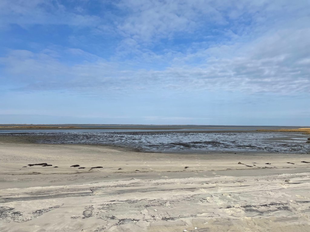 Guide to Clamming; Clamming Guide; Where to Find Clams