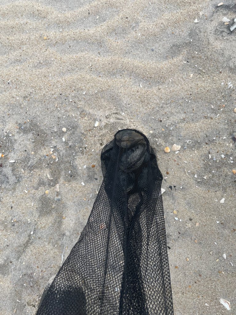 What You Need to Go Clamming; A Clam Net