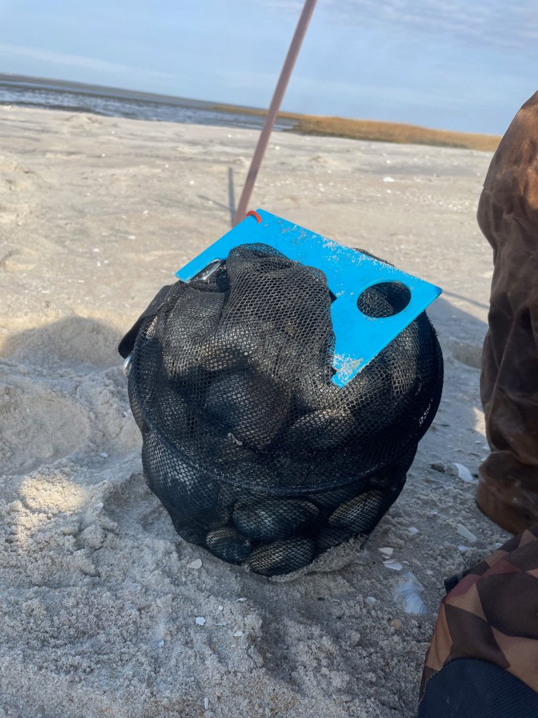 What You Need to Go Clamming; A Clam Gauge