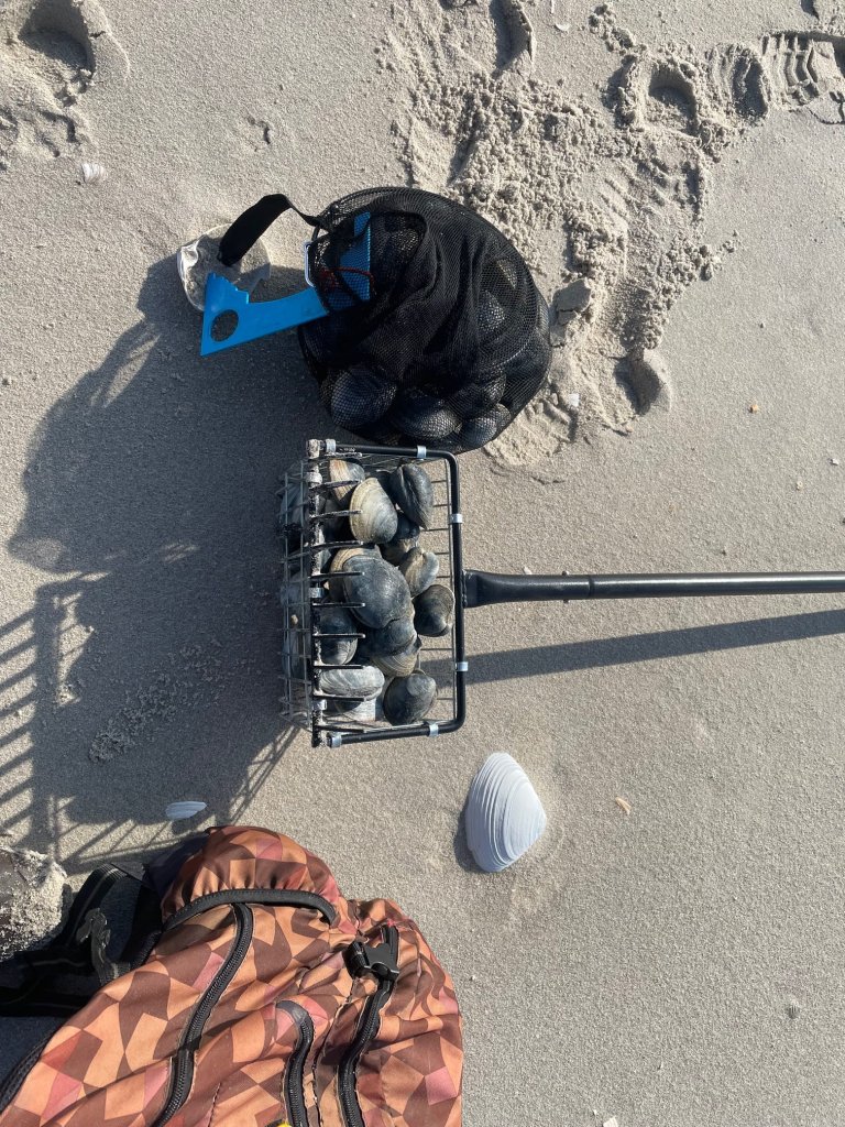 What You Need to Go Clamming