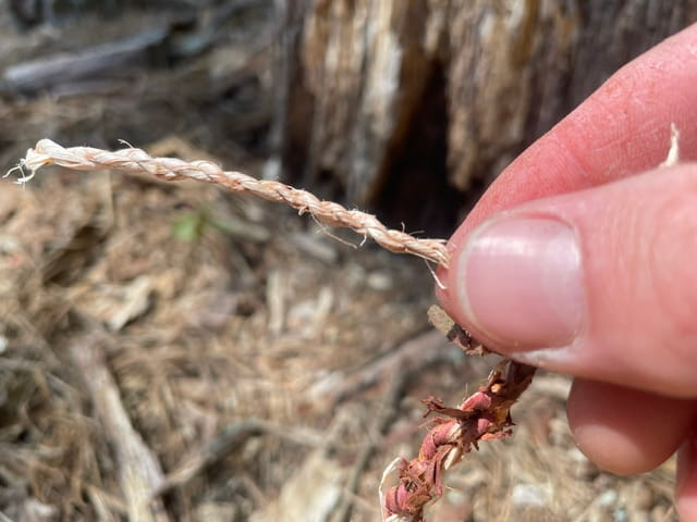 How to Make Cordage