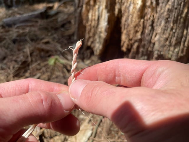 How to Make Cordage