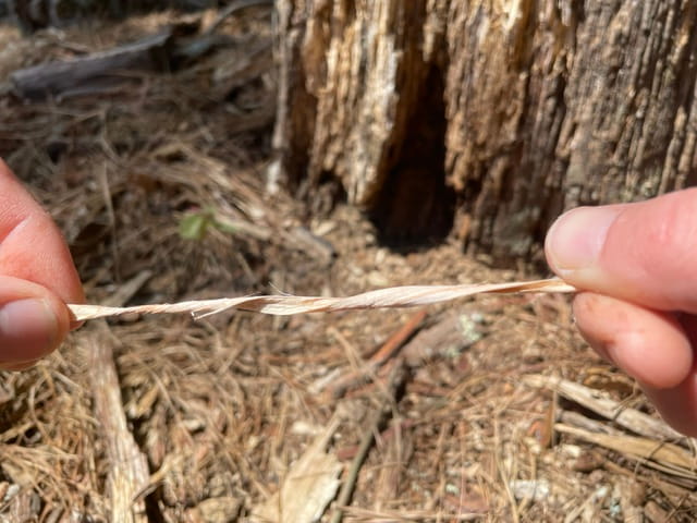 How to Make Cordage